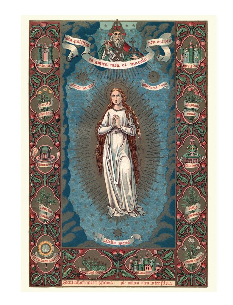 The Blessed Virgin Mary Catholic Saints Collection Box of 10 Blank Note Cards 4x5 266682