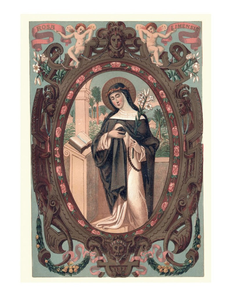 Saint Rose of Lima Catholic Saints Collection Box of 10 Blank Note Cards 4x5 266704